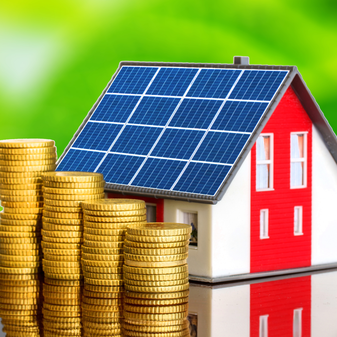 paineis solares (6)